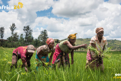 Rwanda's Vision: A Hub of Quality Crops by 2030