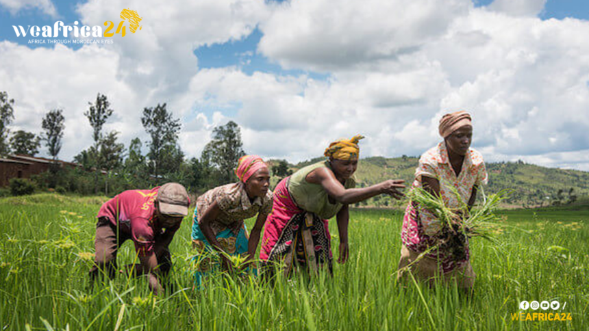 Rwanda's Vision: A Hub of Quality Crops by 2030