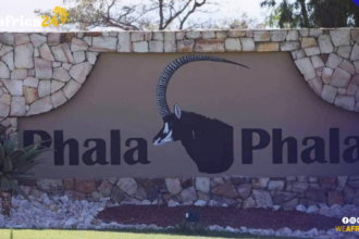 Phala Phala Heist: Third Suspect, Accused's Brother, in $580K Burglary