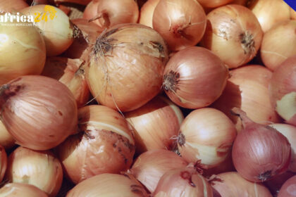 Onion