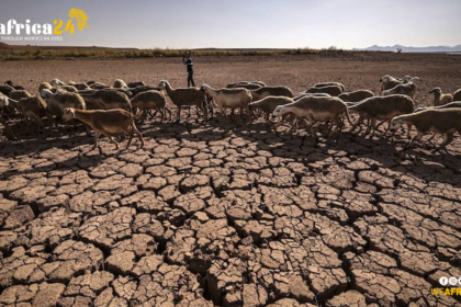 Unprecedented Drought Challenges Morocco: Implications of Rainfall Shortages