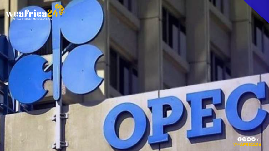 OPEC Expects Global Oil Demand Growth in 2024 Despite Contrary Predictions